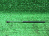 Амортизатор стекла багажника Pathfinder (05-12) R б\у (арт. 90460EA500)